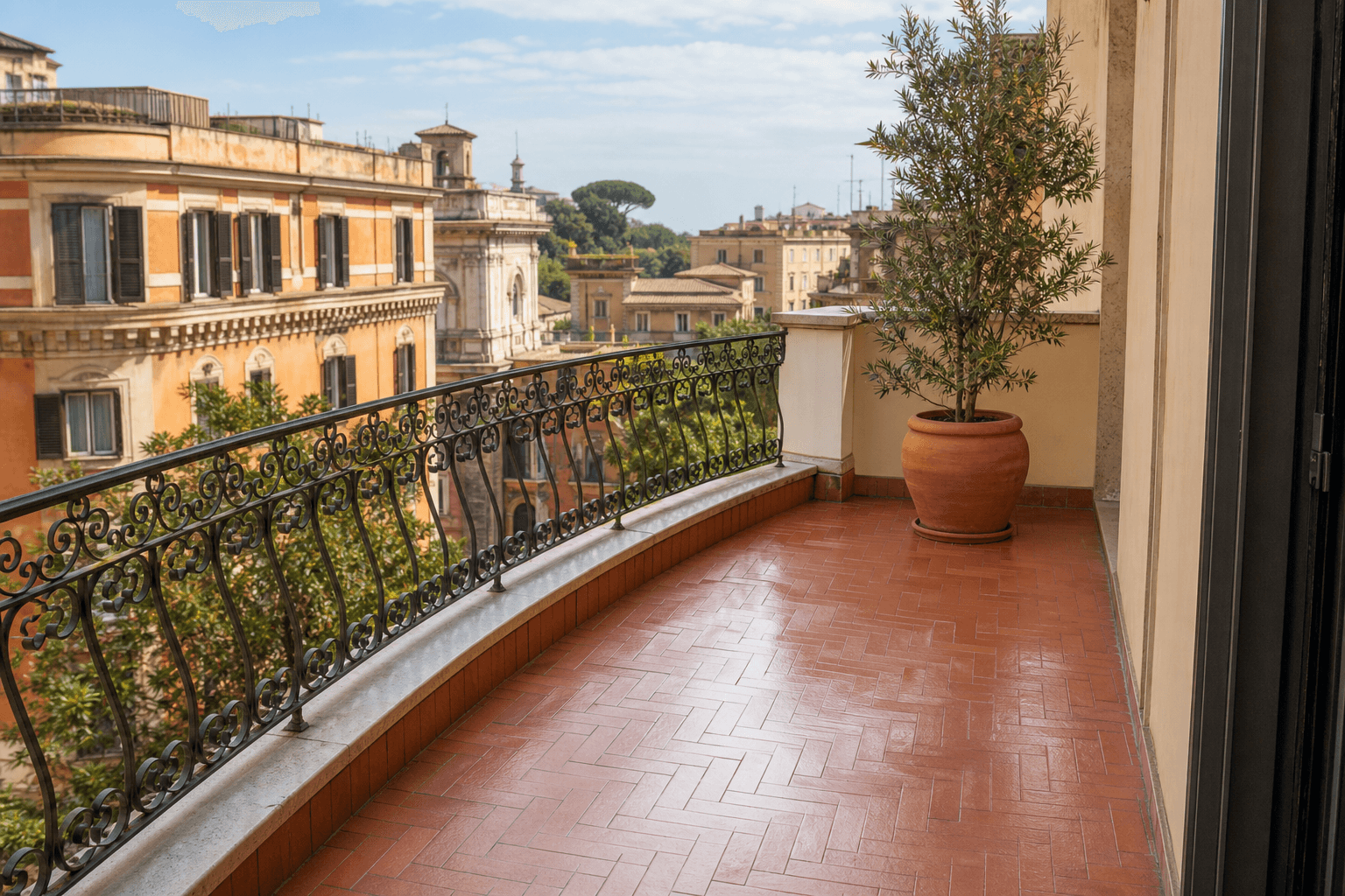 Pulizia balconi escrementi piccioni Roma